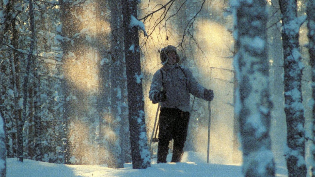 Nuoruuteni savotat 1988 movie scene