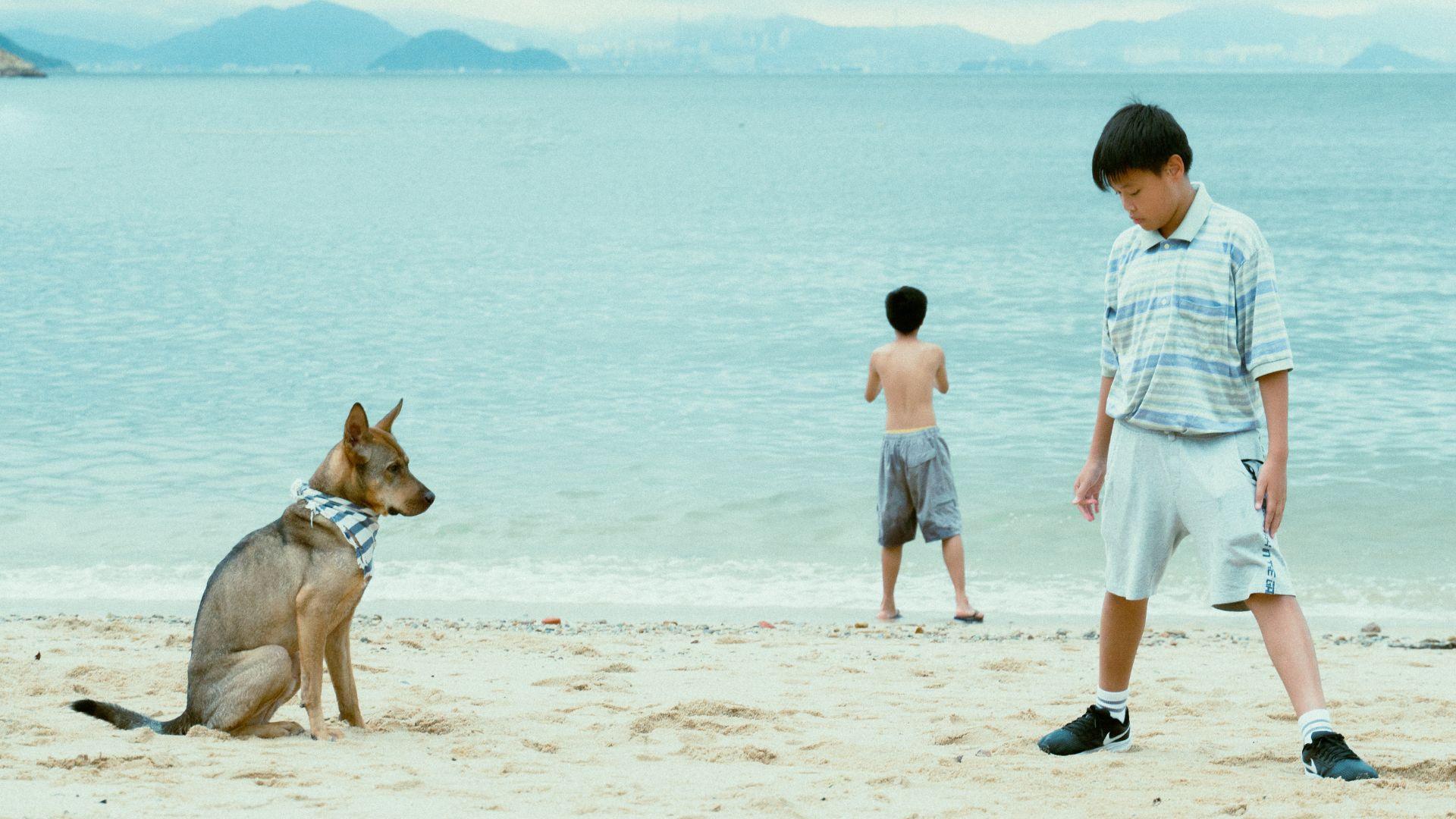 The Perks of Being Wild 2024 movie scene