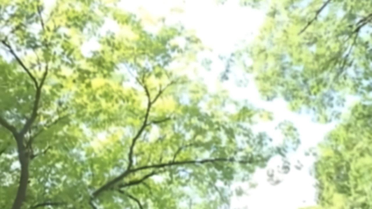 Boat 2003 movie scene
