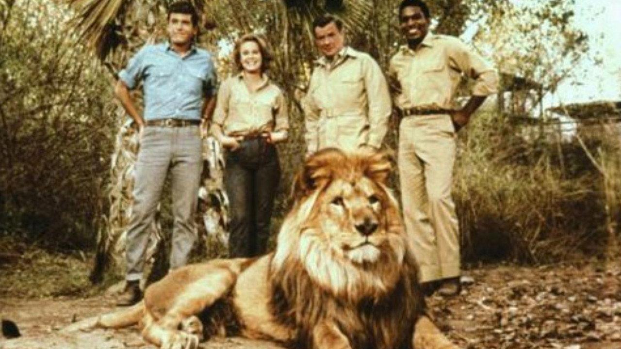 Clarence, the Cross-Eyed Lion 1965 movie scene