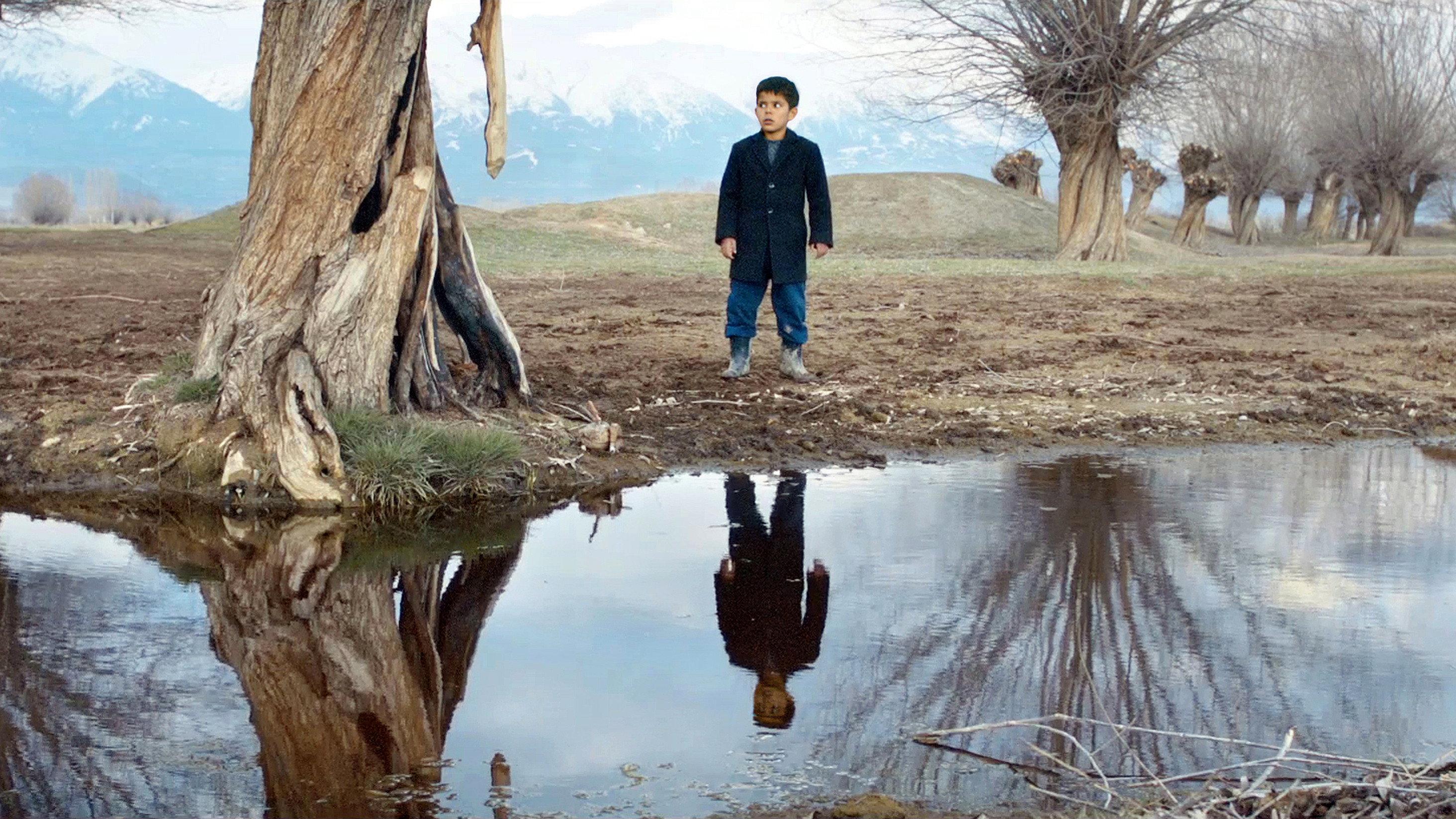 The Lamb 2014 movie scene