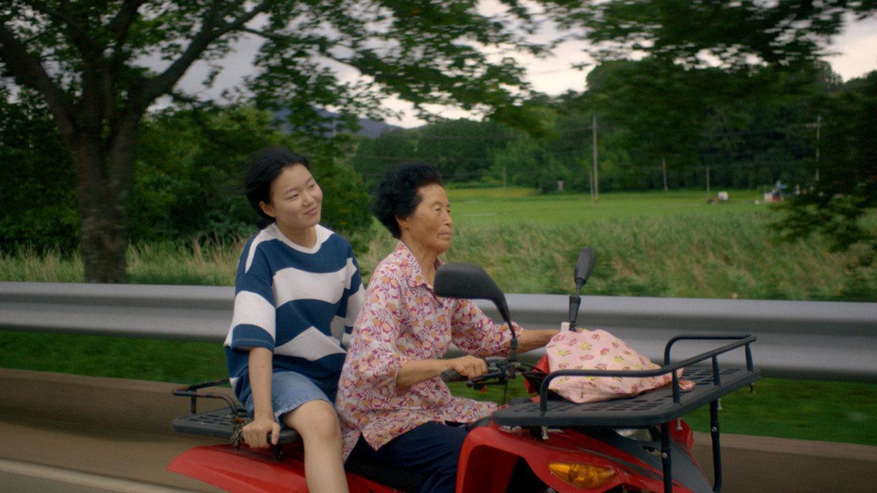 Island of Young-a 2025 movie scene