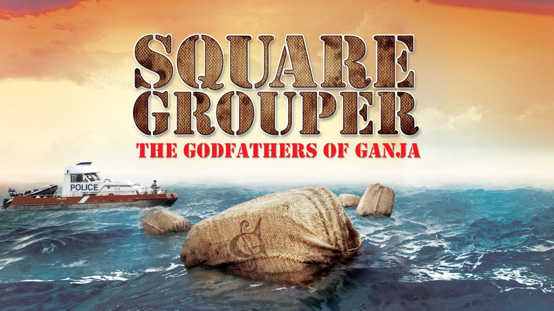 Square Grouper 2011 movie scene
