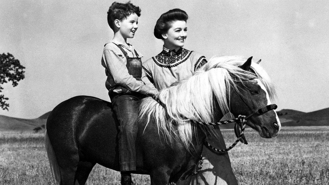 The Red Pony 1949 movie scene