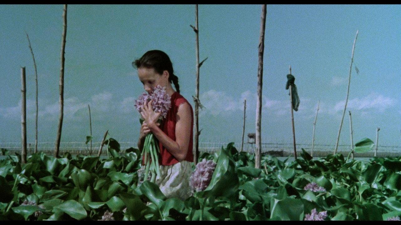 A Speck in the Water 1976 movie scene