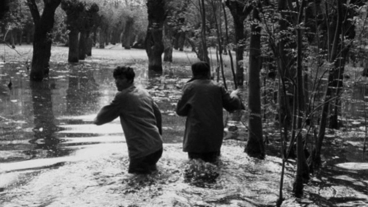 Black Birds 1967 movie scene