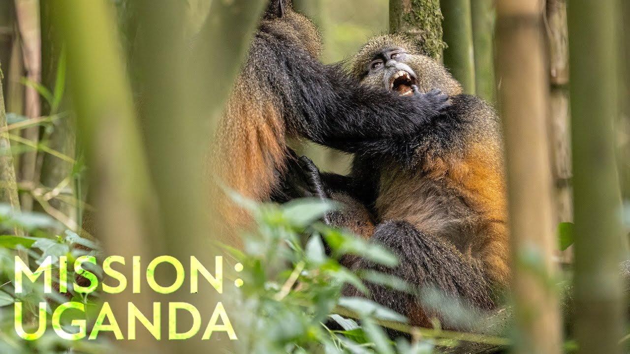 Mission: Uganda 2022 movie scene