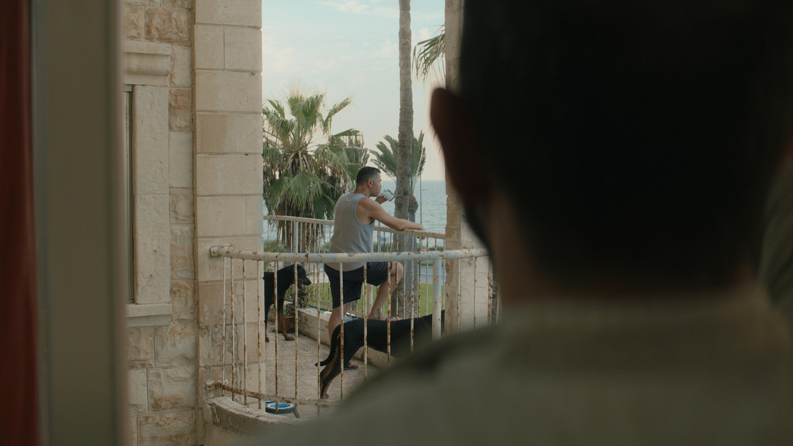 Mediterranean Fever 2022 movie scene