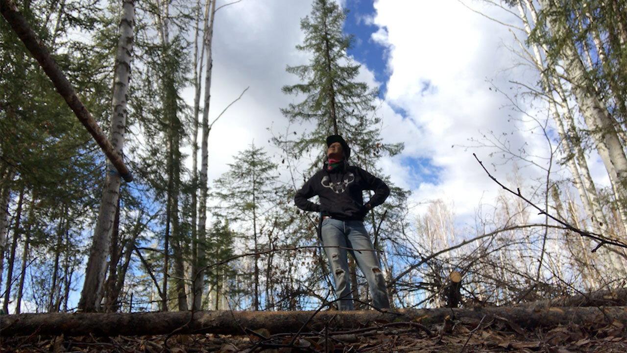 K'i Tah Amongst the Birch 2020 movie scene