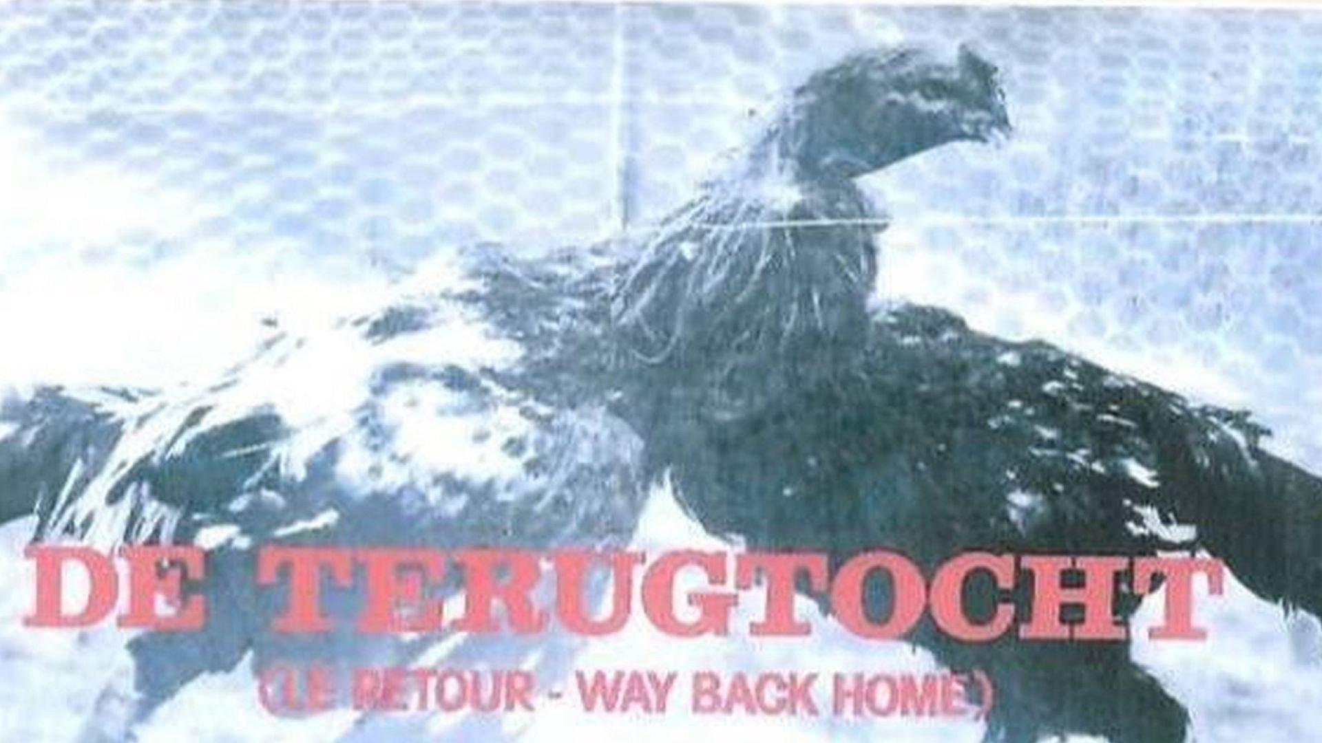 De Terugtocht 1981 movie scene