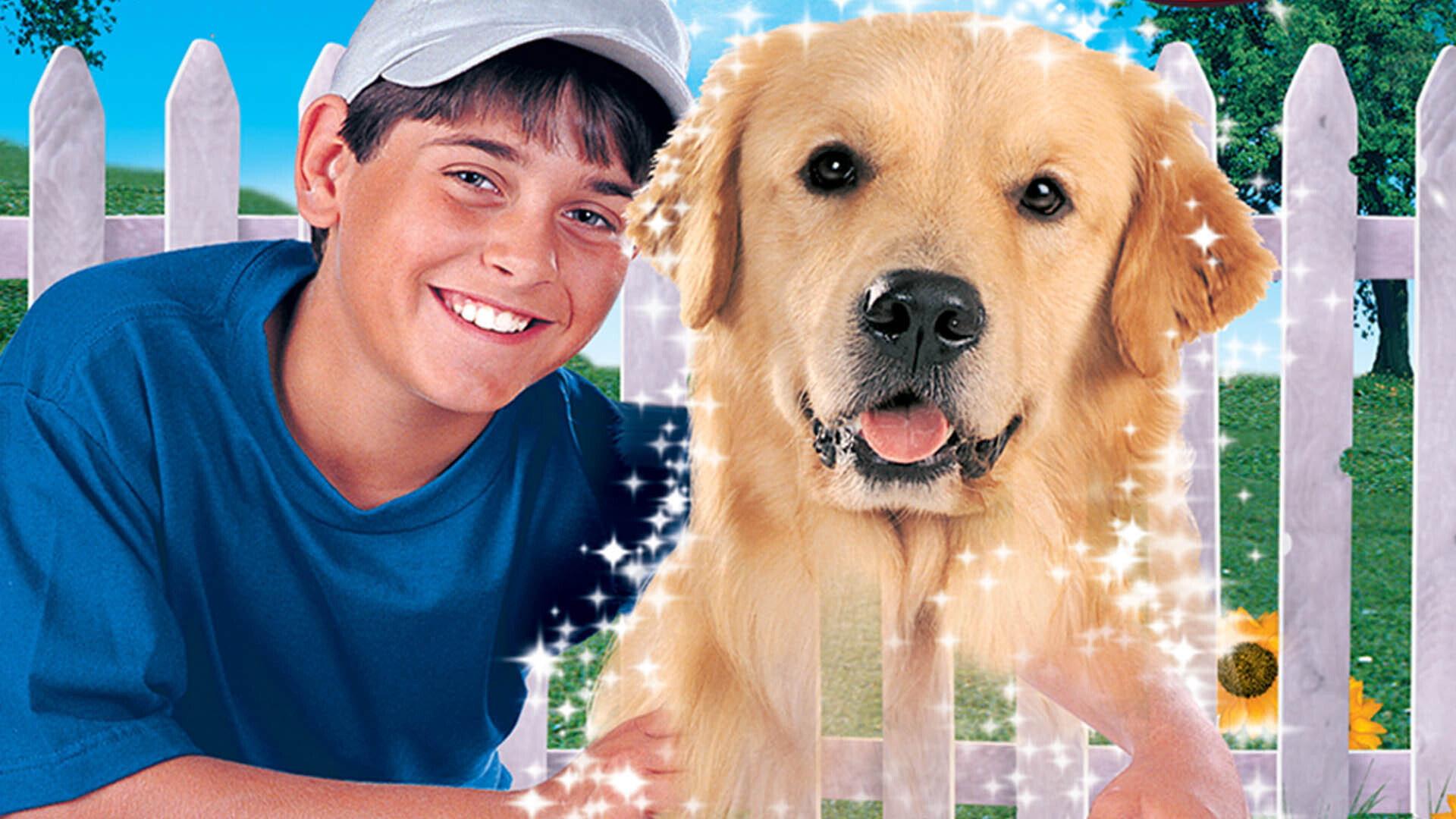 My Ghost Dog 1997 movie scene
