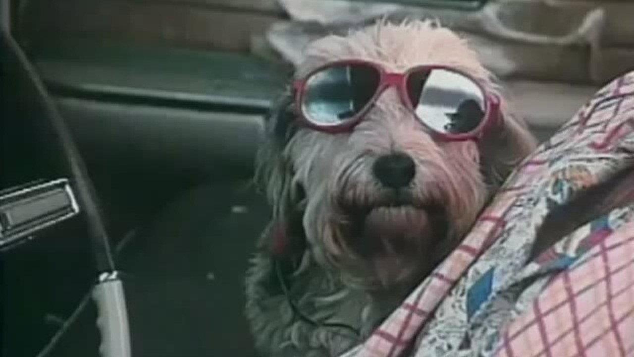 Nerds of a Feather 1989 movie scene