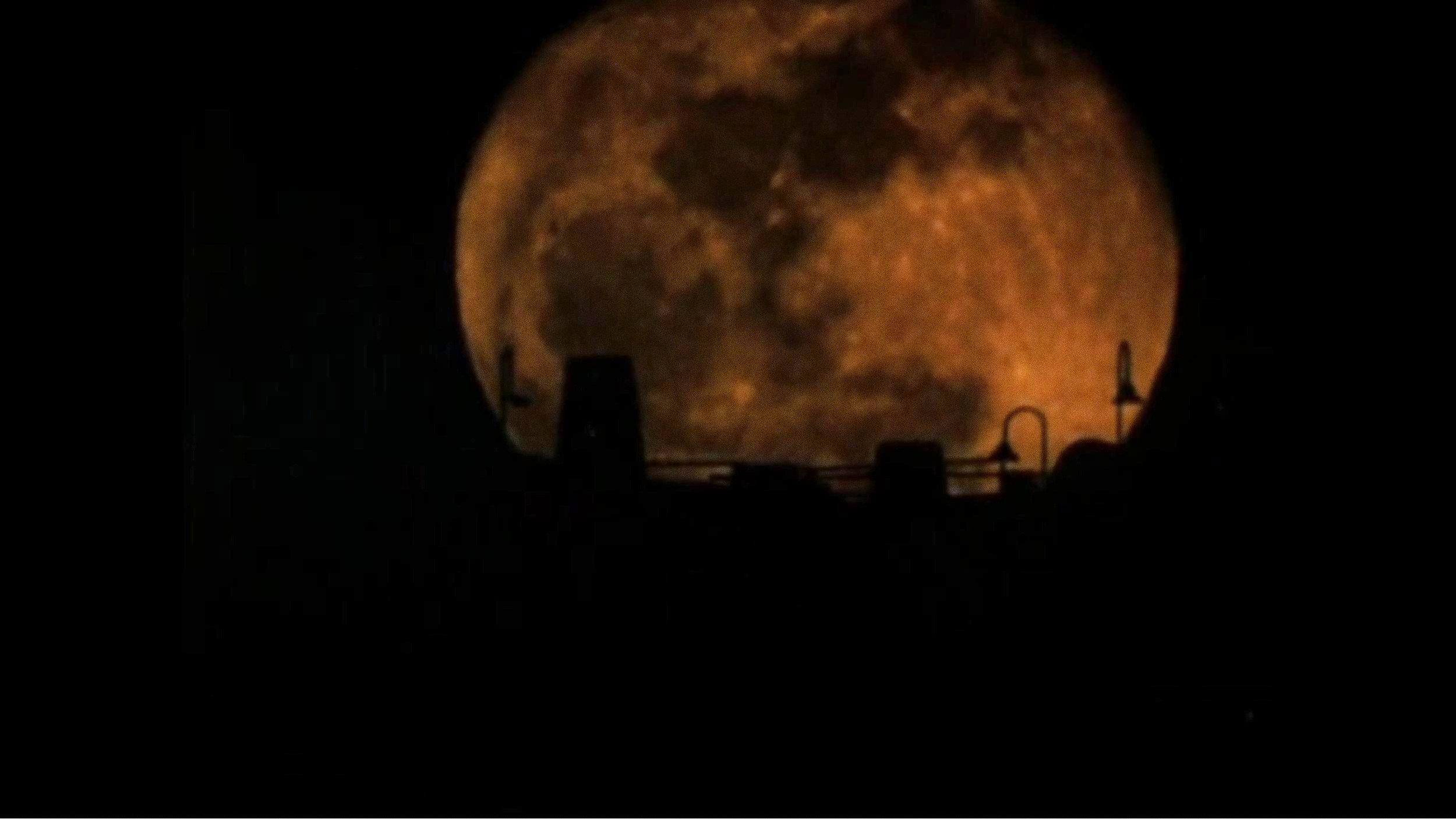 The Werewolf of Washington 1973 movie scene