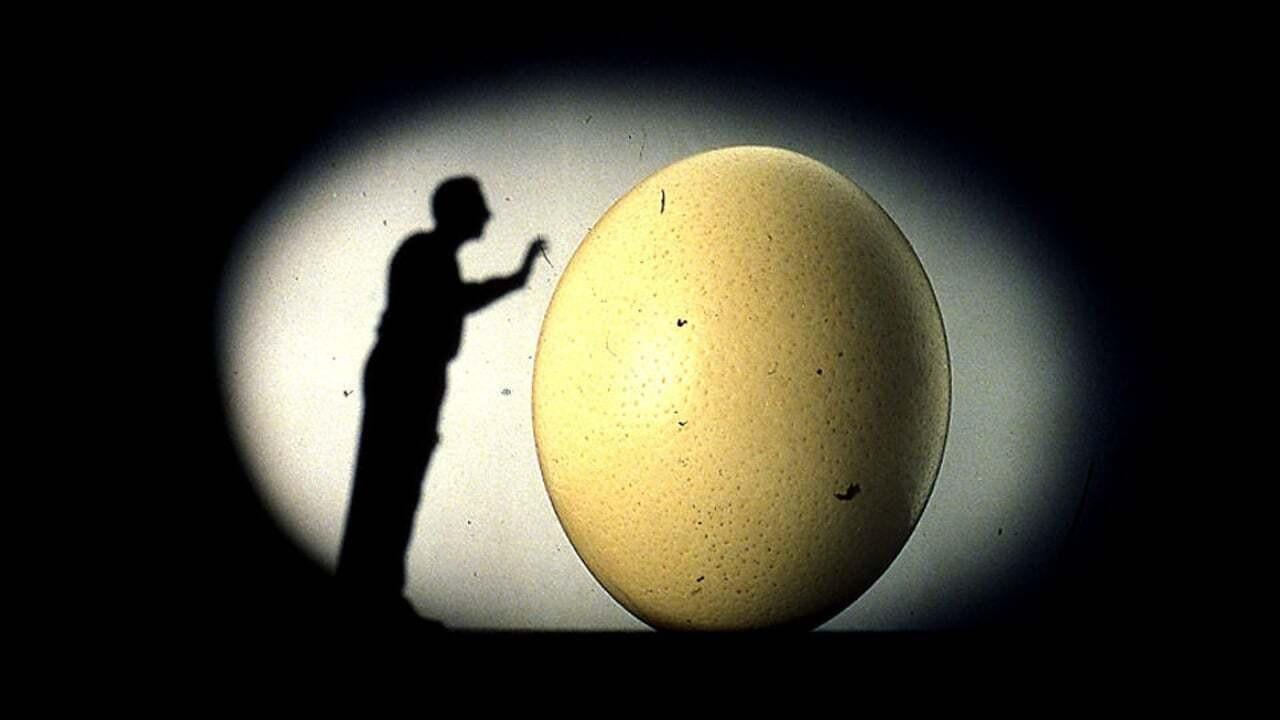 Il mnemonista 2000 movie scene