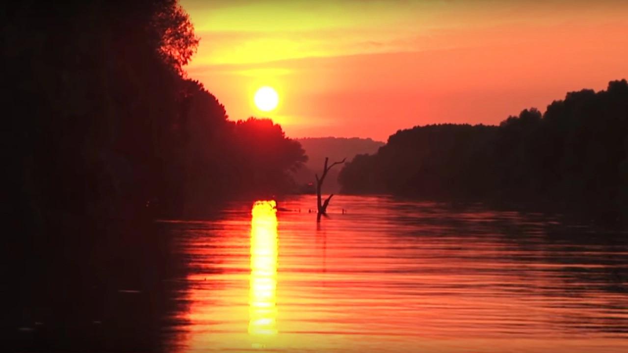 Blue Sava Dreams 2018 movie scene