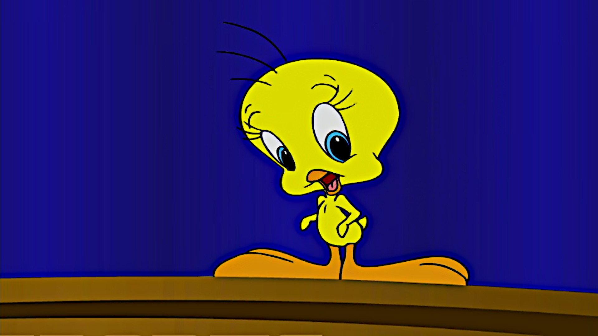 Looney Tunes: Reality Check 2003 movie scene