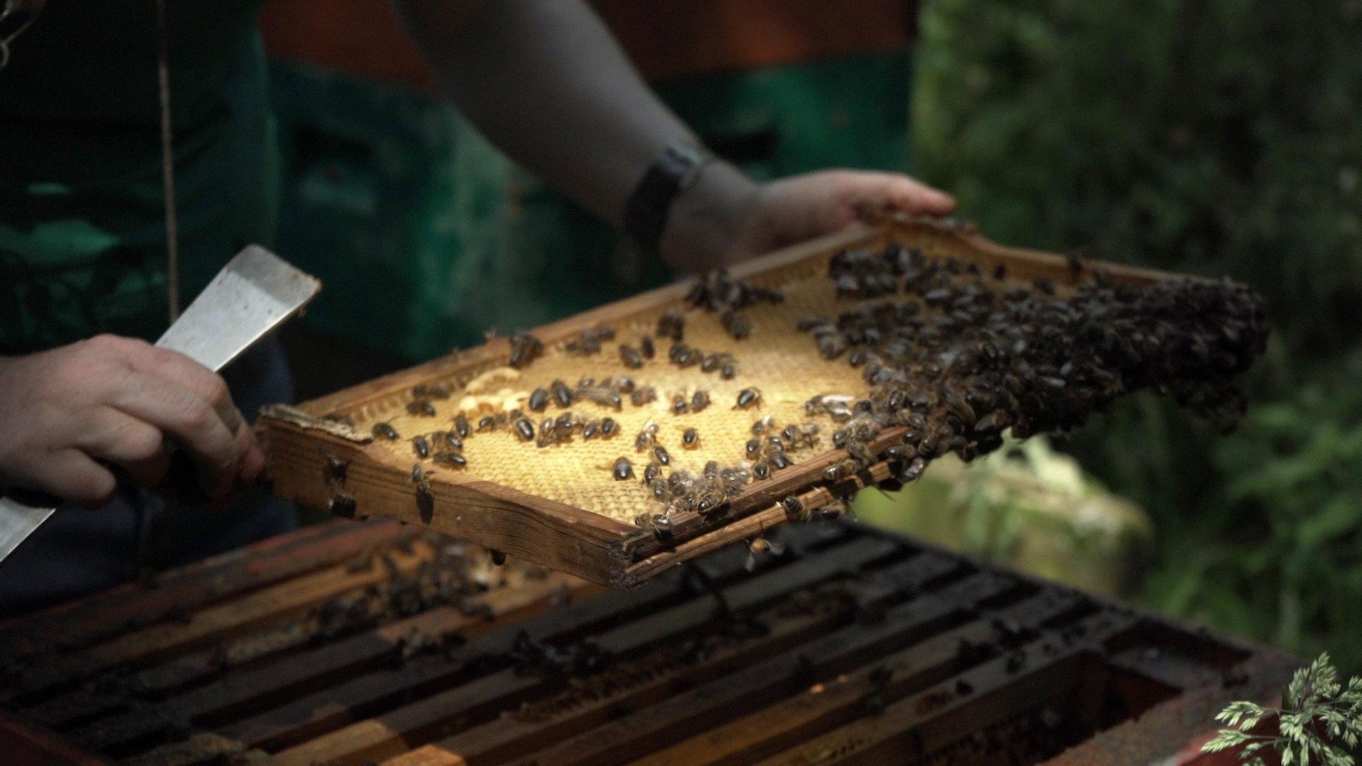 Bee-Kept 2025 movie scene