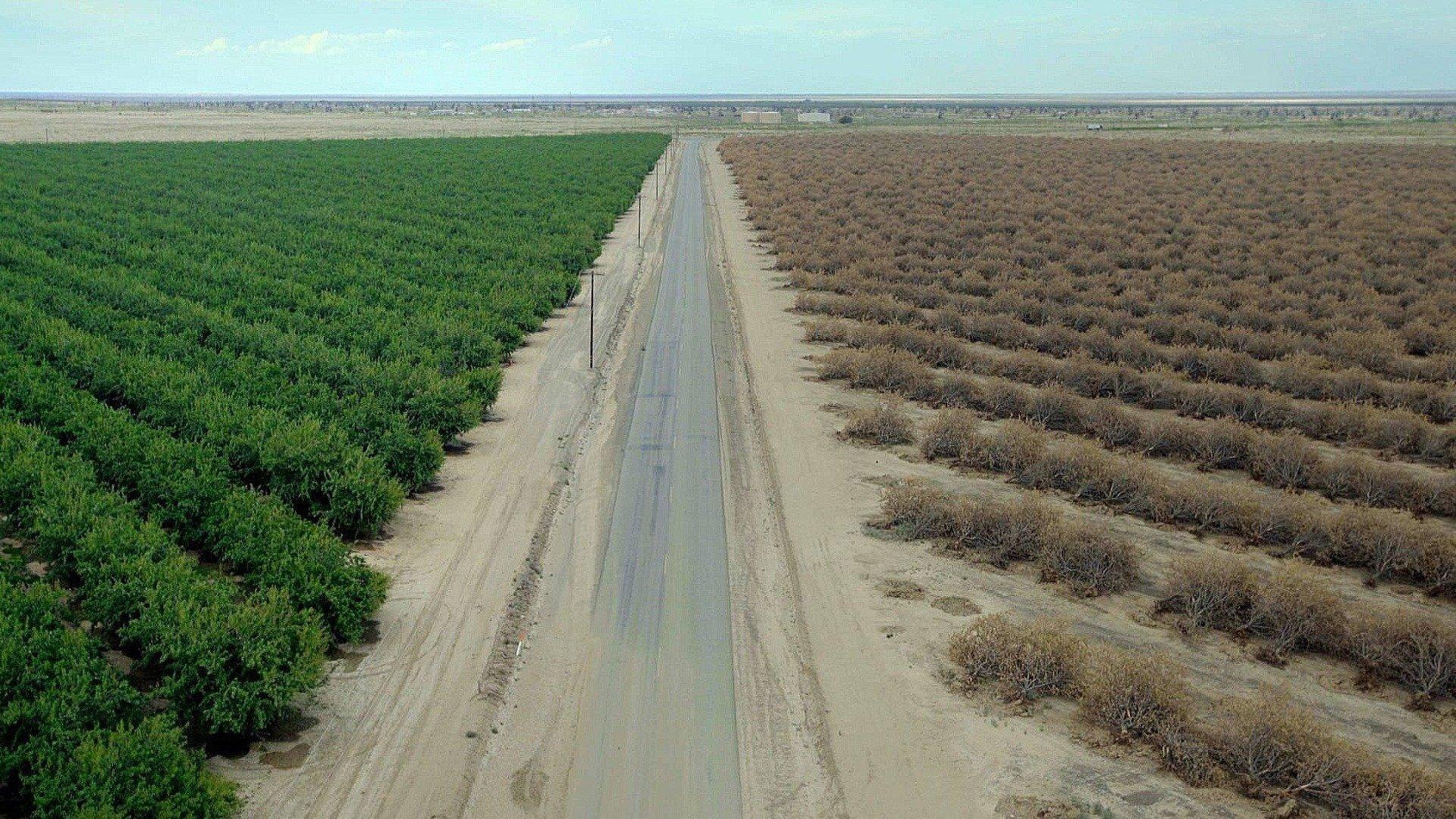Water & Power: A California Heist 2017 movie scene