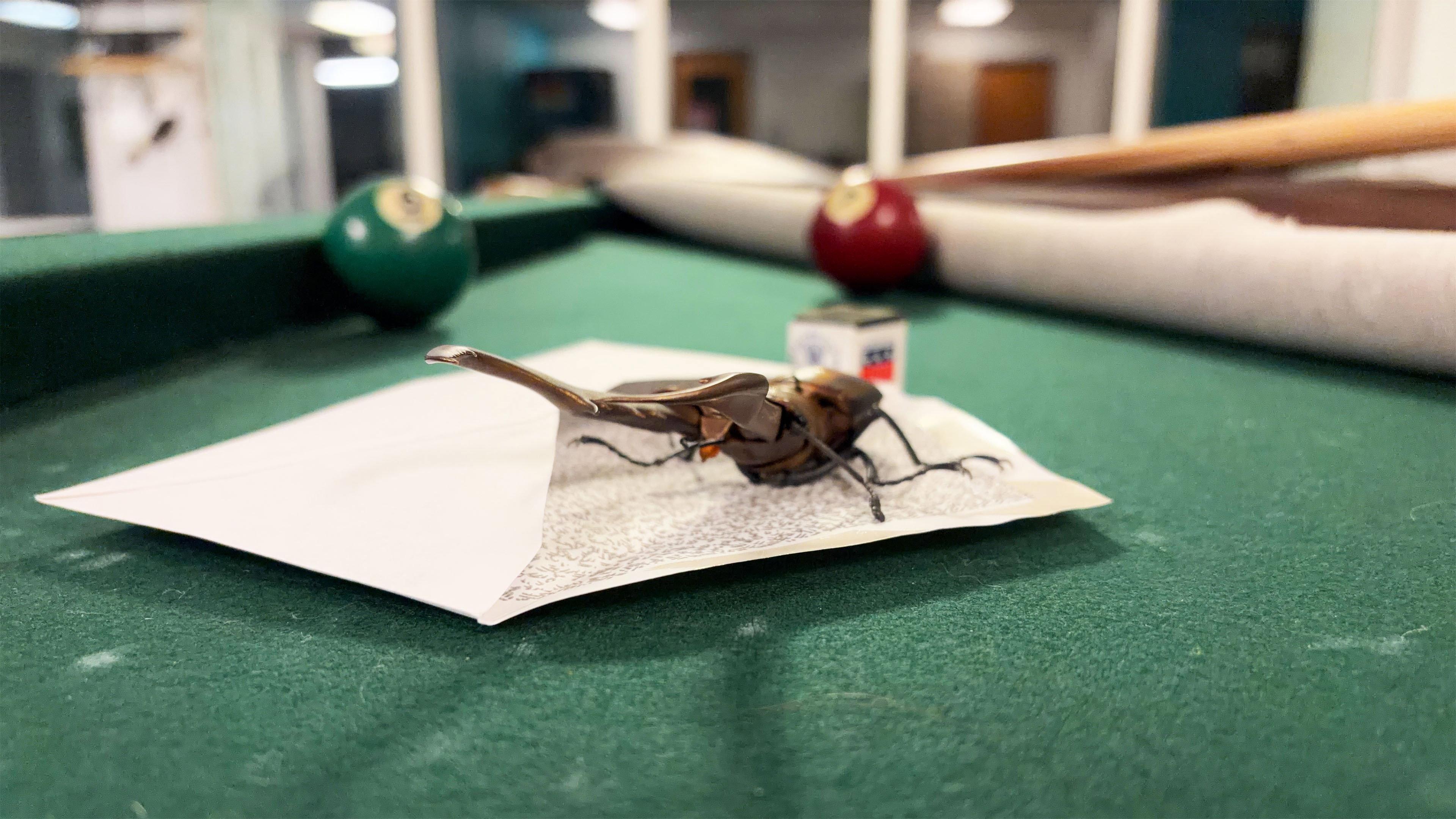 Bug Behind Schedule 2026 movie scene
