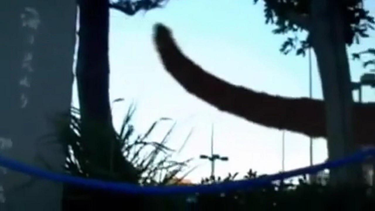 Monster 2008 movie scene