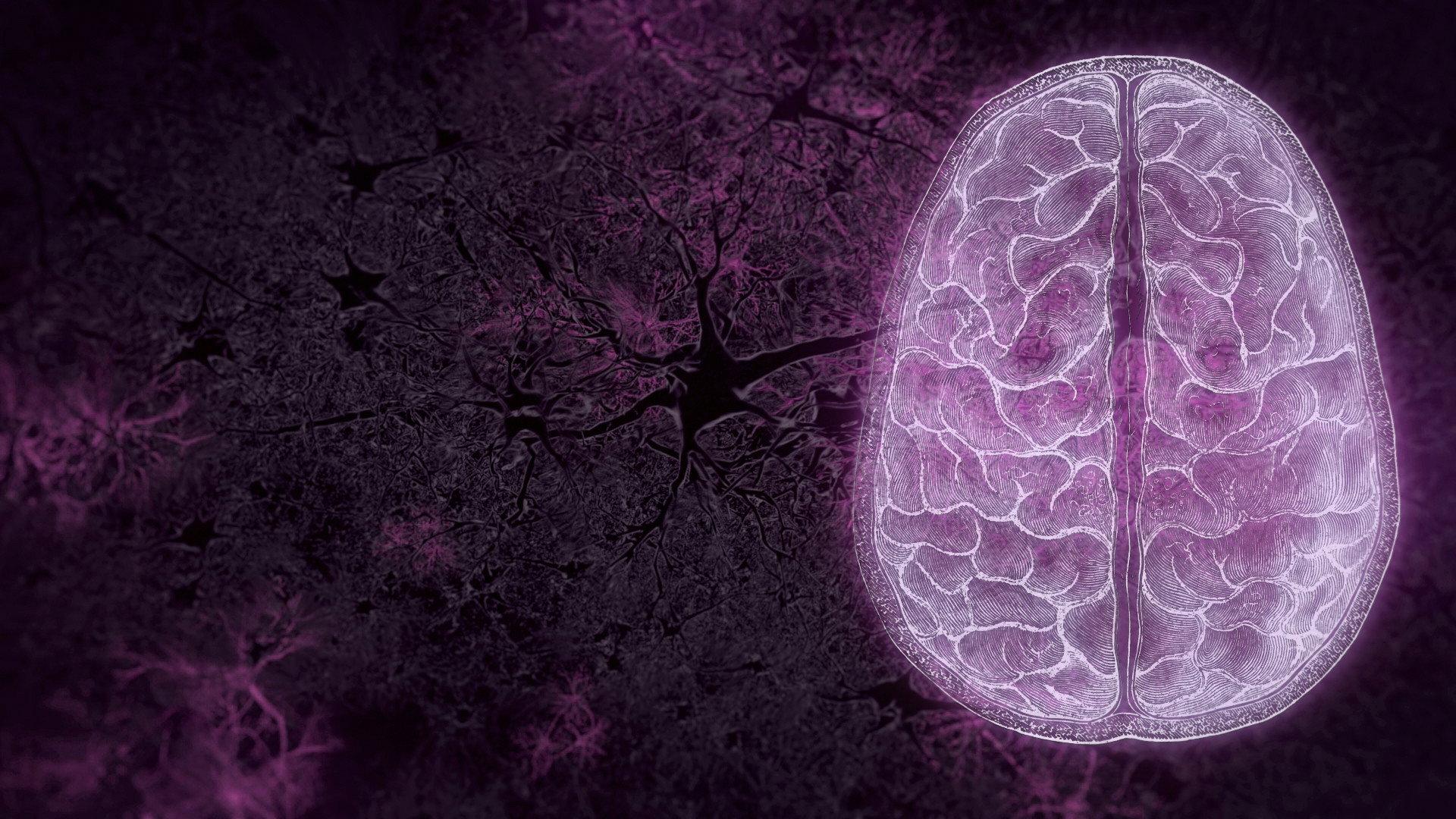 Your Brain 2023 movie scene