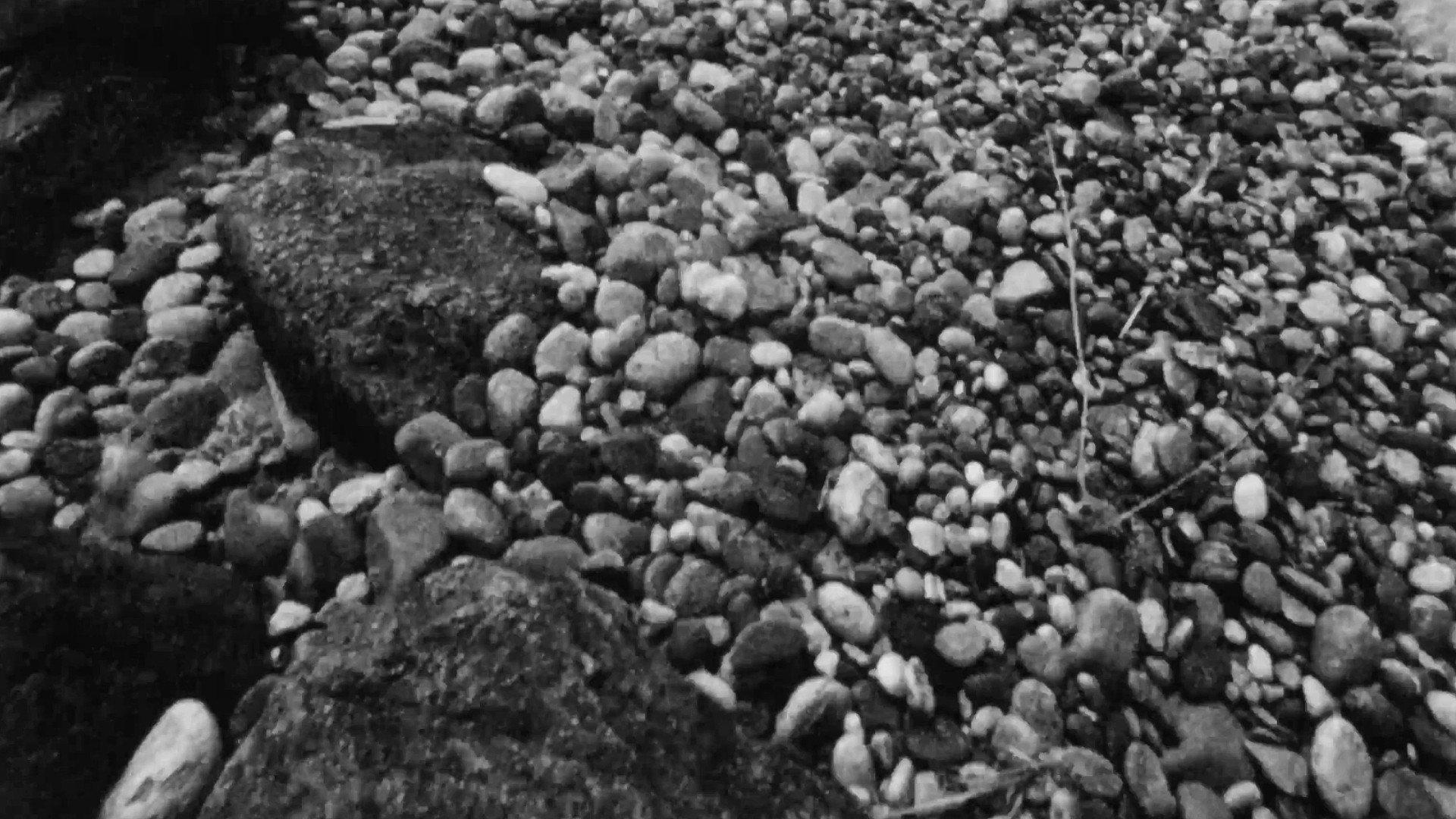 Vineyard II 1967 movie scene