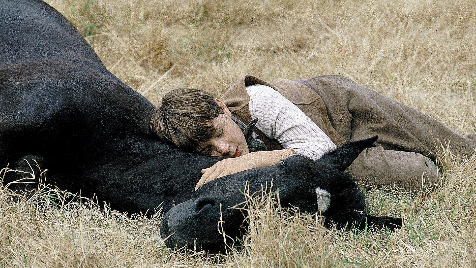 Black Beauty 1994 movie scene