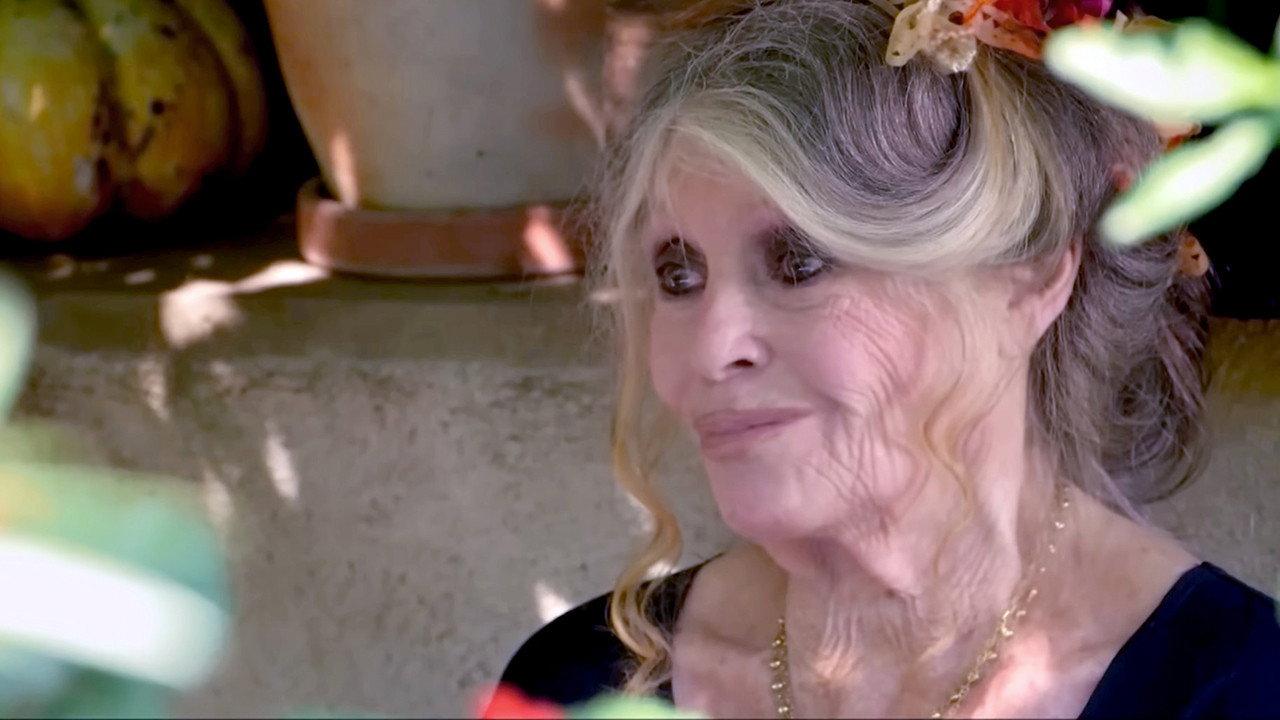 The truth about Brigitte Bardot 2014 movie scene