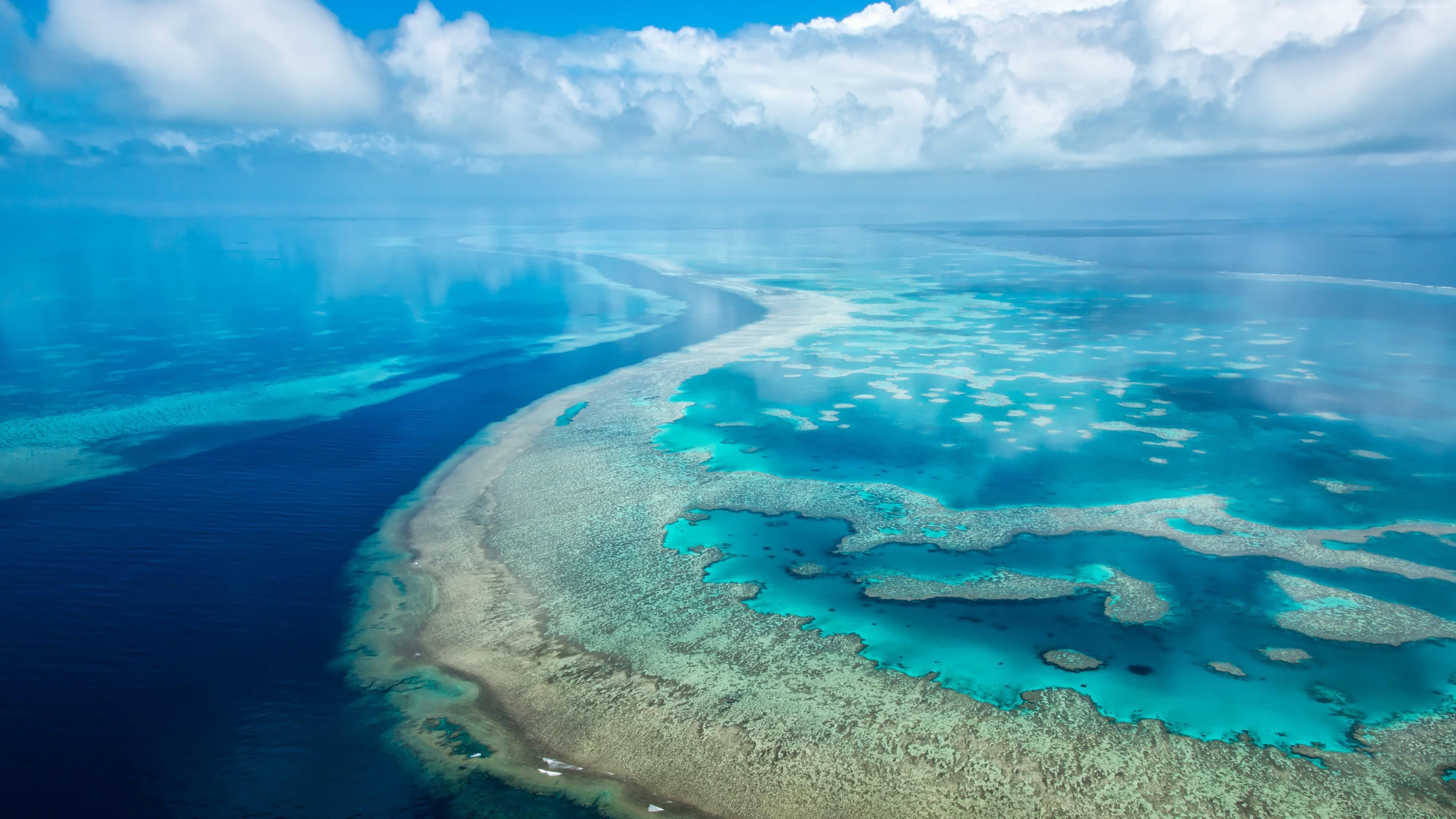 Great Barrier Reef 4K 2018 movie scene