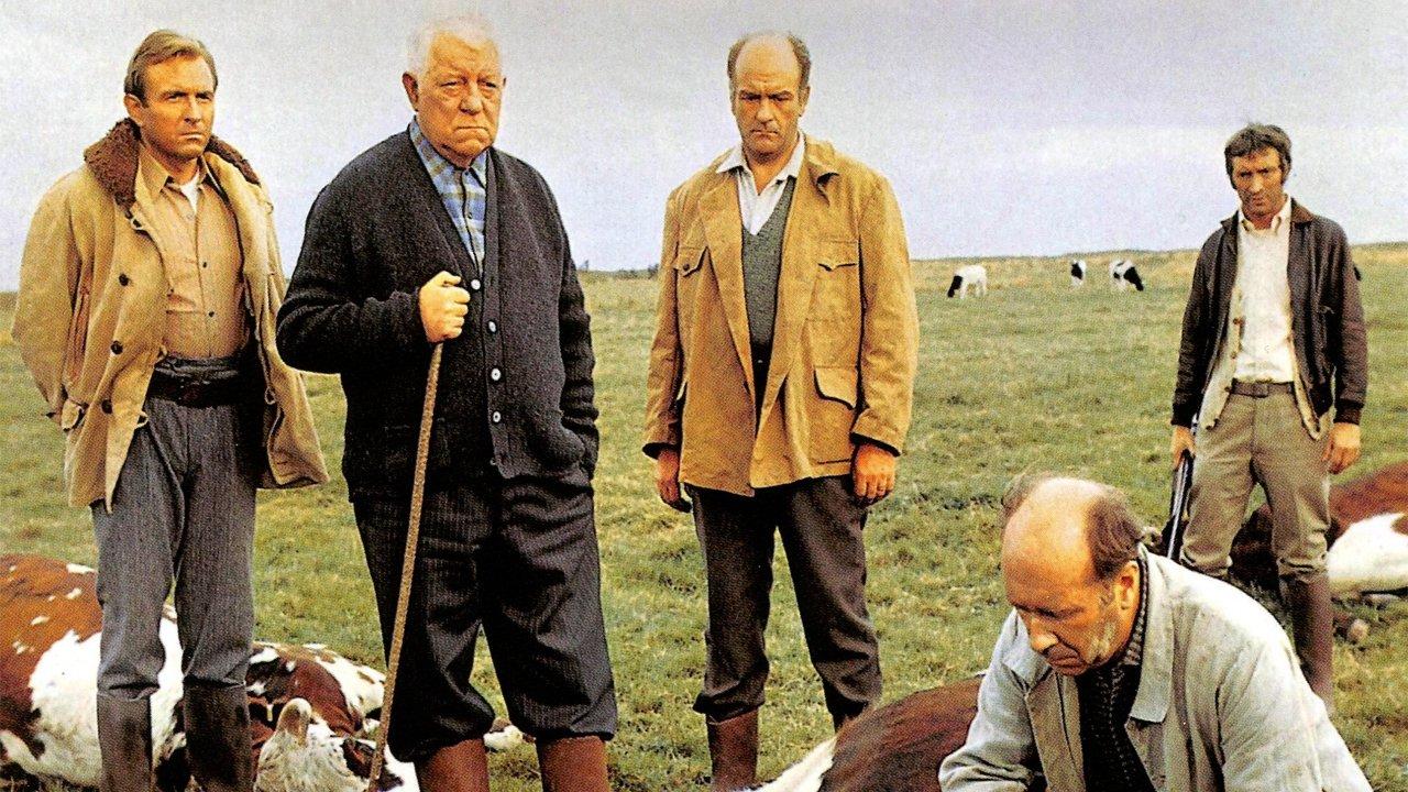The Horse 1970 movie scene