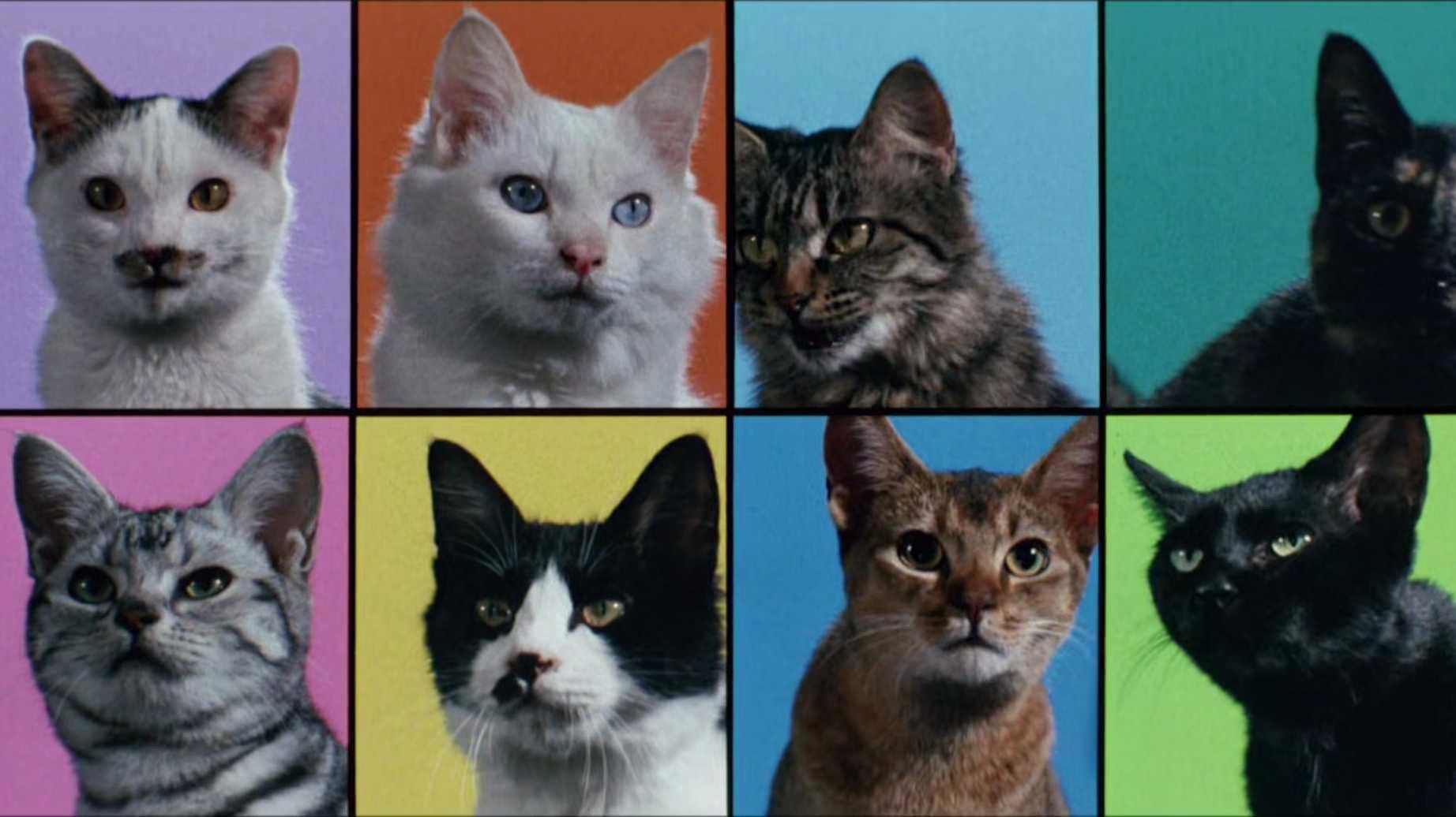 Cats on Park Avenue 1989 movie scene