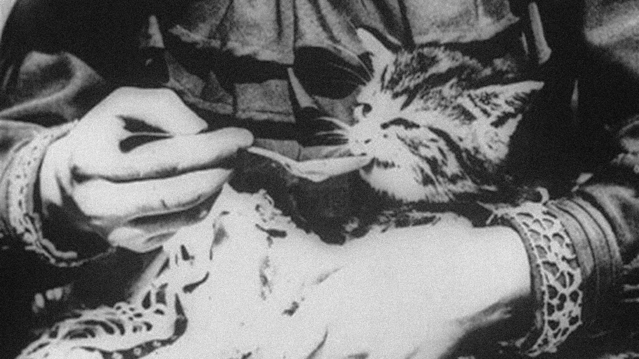 The Sick Kitten 1903 movie scene