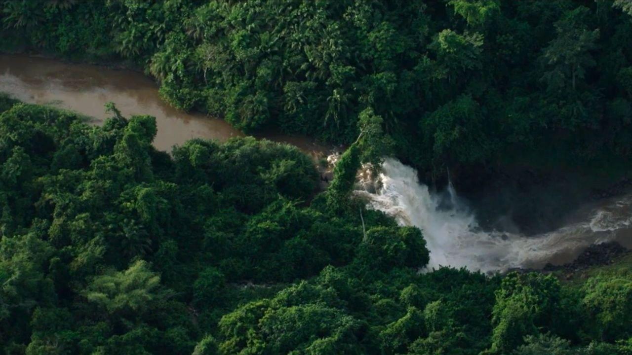 Le dernier poumon du monde 2019 movie scene