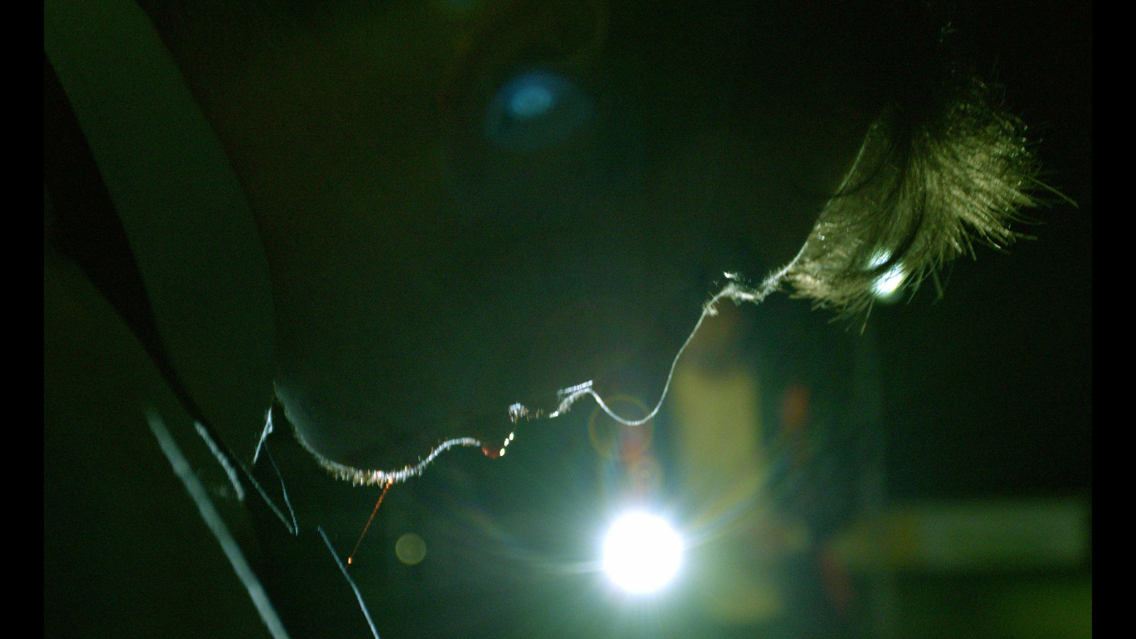 Veined 2021 movie scene