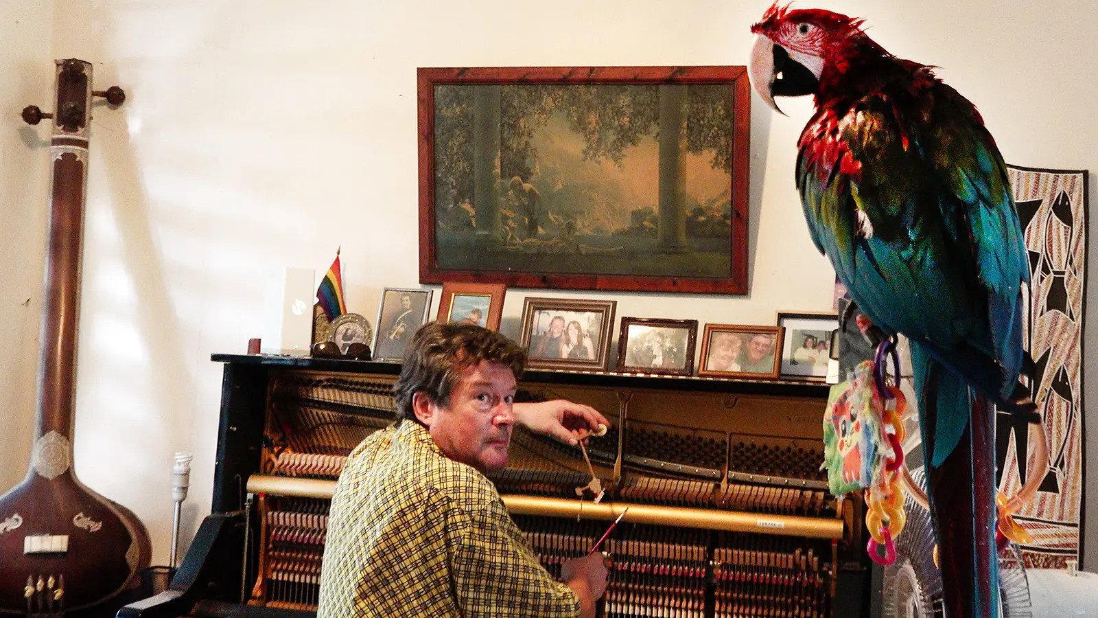 The Piano Tuner 2026 movie scene