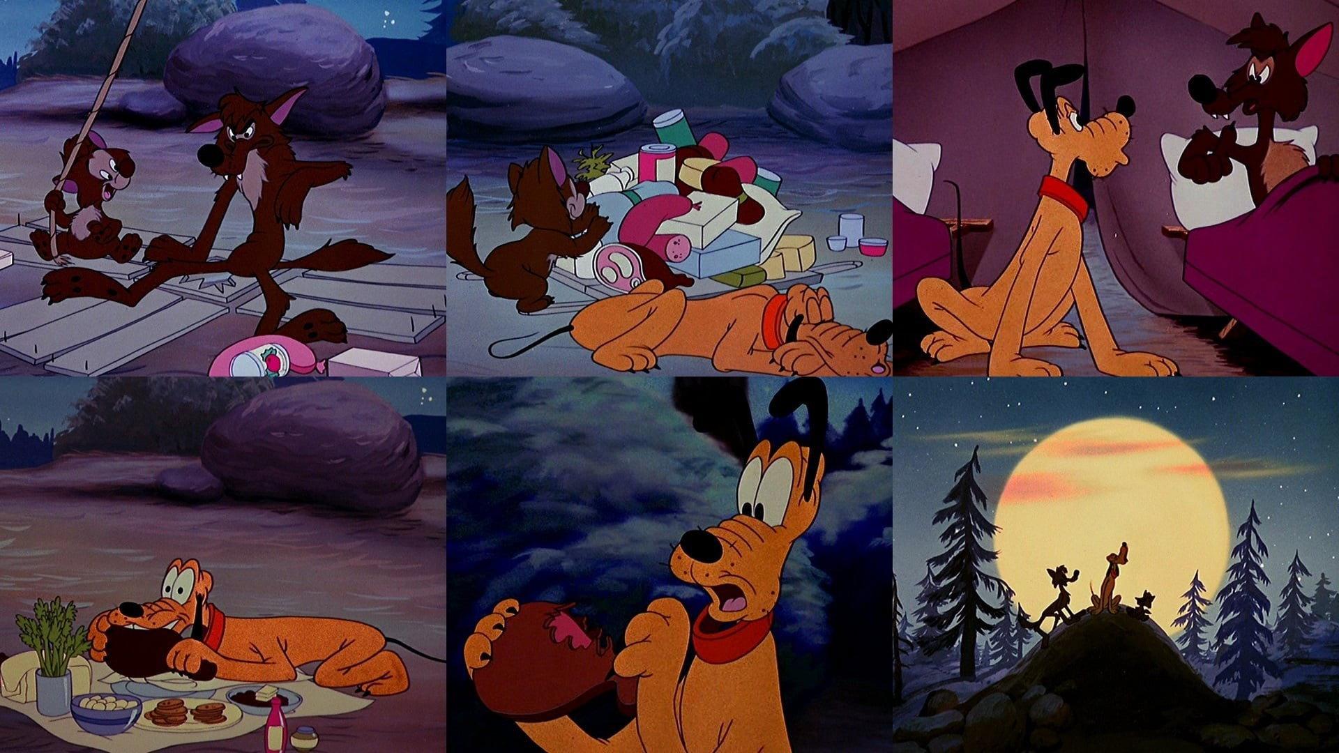 Camp Dog 1950 movie scene
