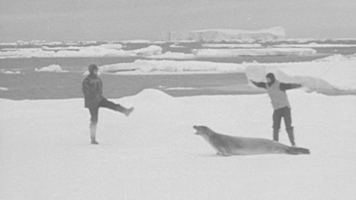 Antarctica 1948 1949 movie scene