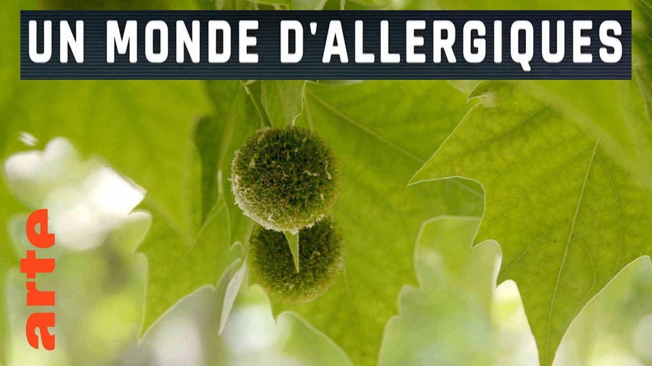 Un monde d'allergiques 2022 movie scene
