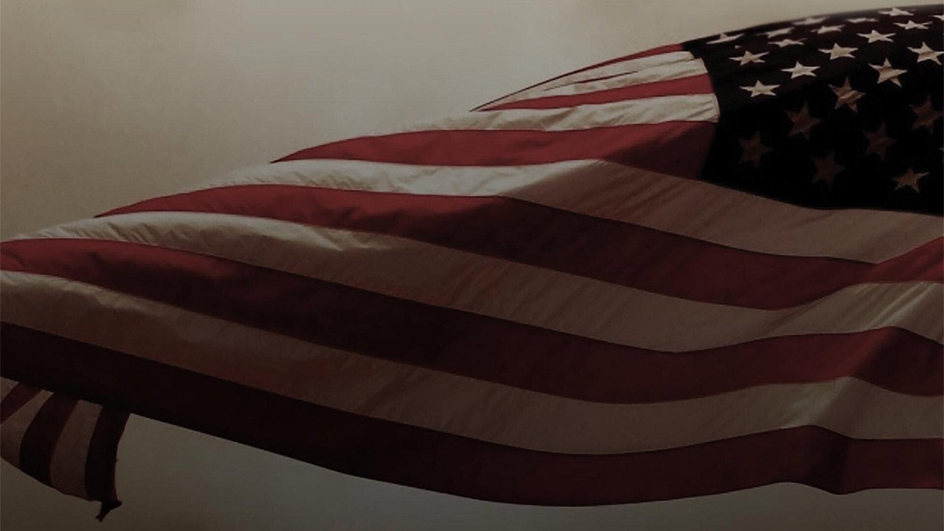 Suppressed 2020: The Fight to Vote 2020 movie scene