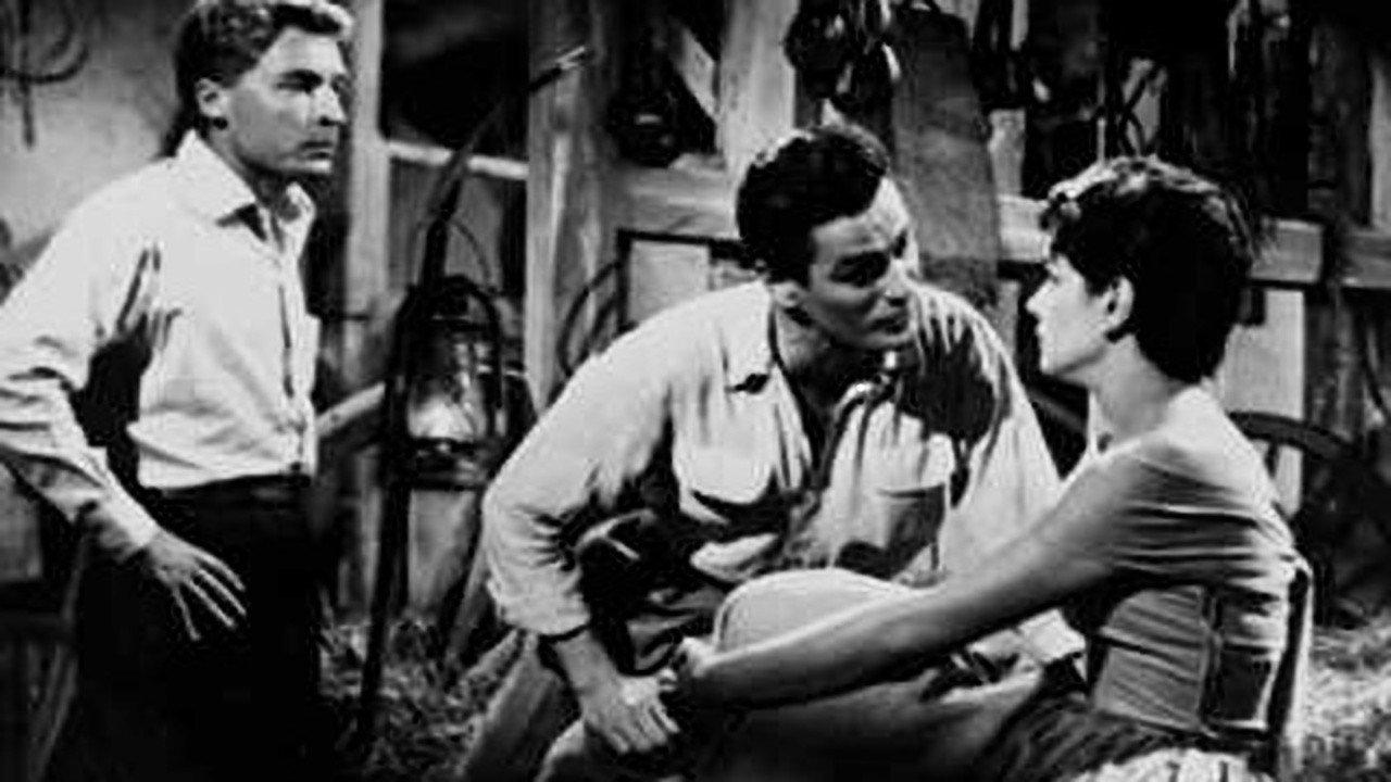 La delatora 1955 movie scene
