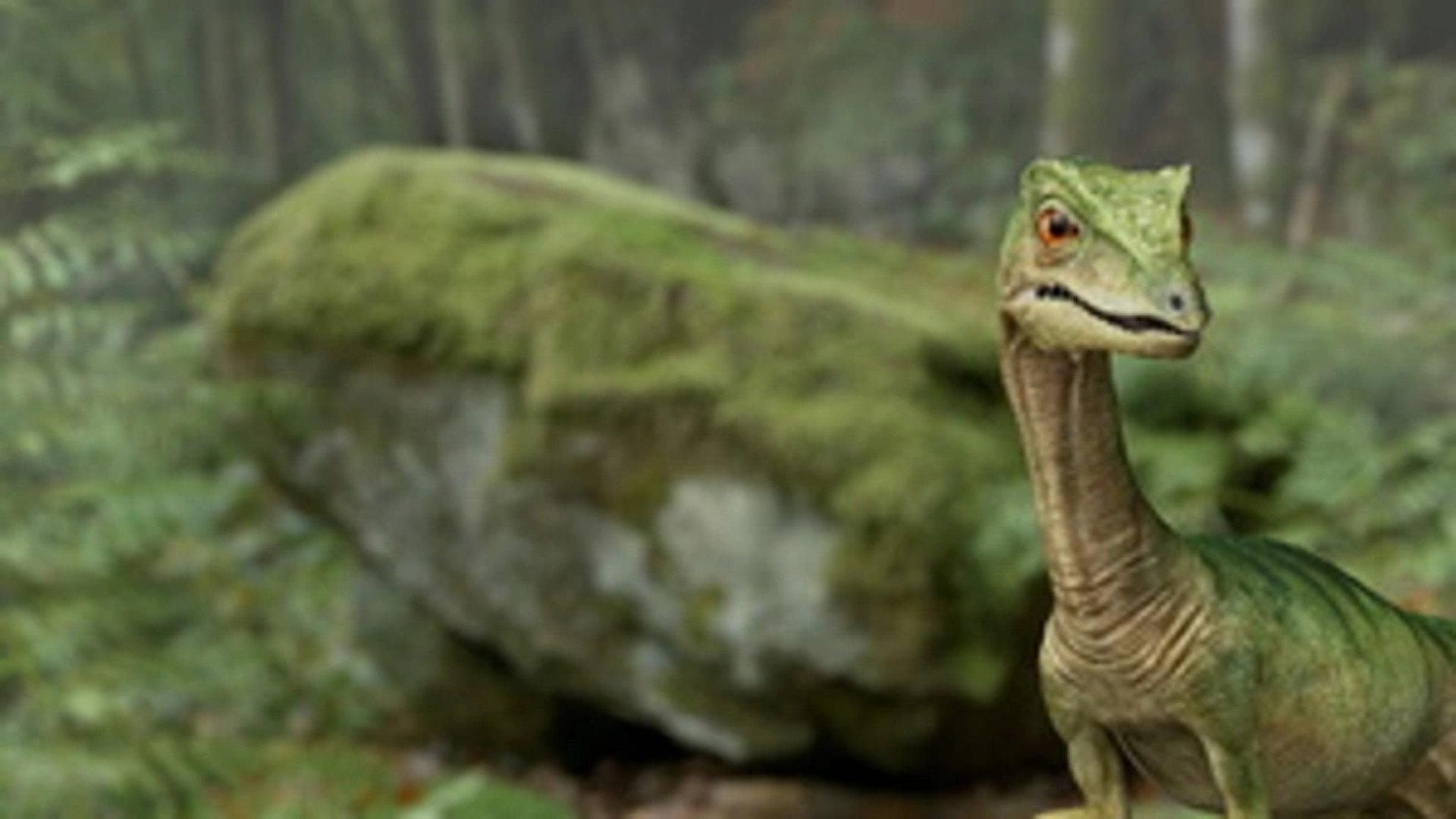 Planet Deutschland - 300 Millionen Jahre 2014 movie scene