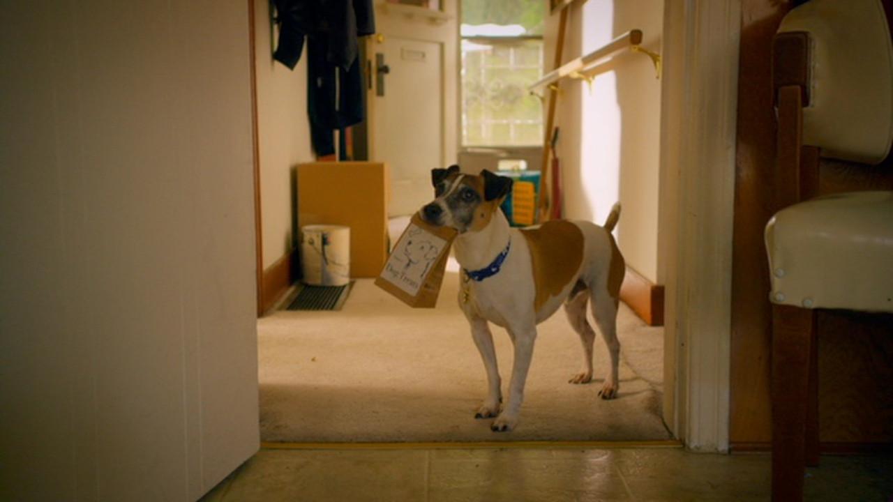 Treasure Hounds 2017 movie scene