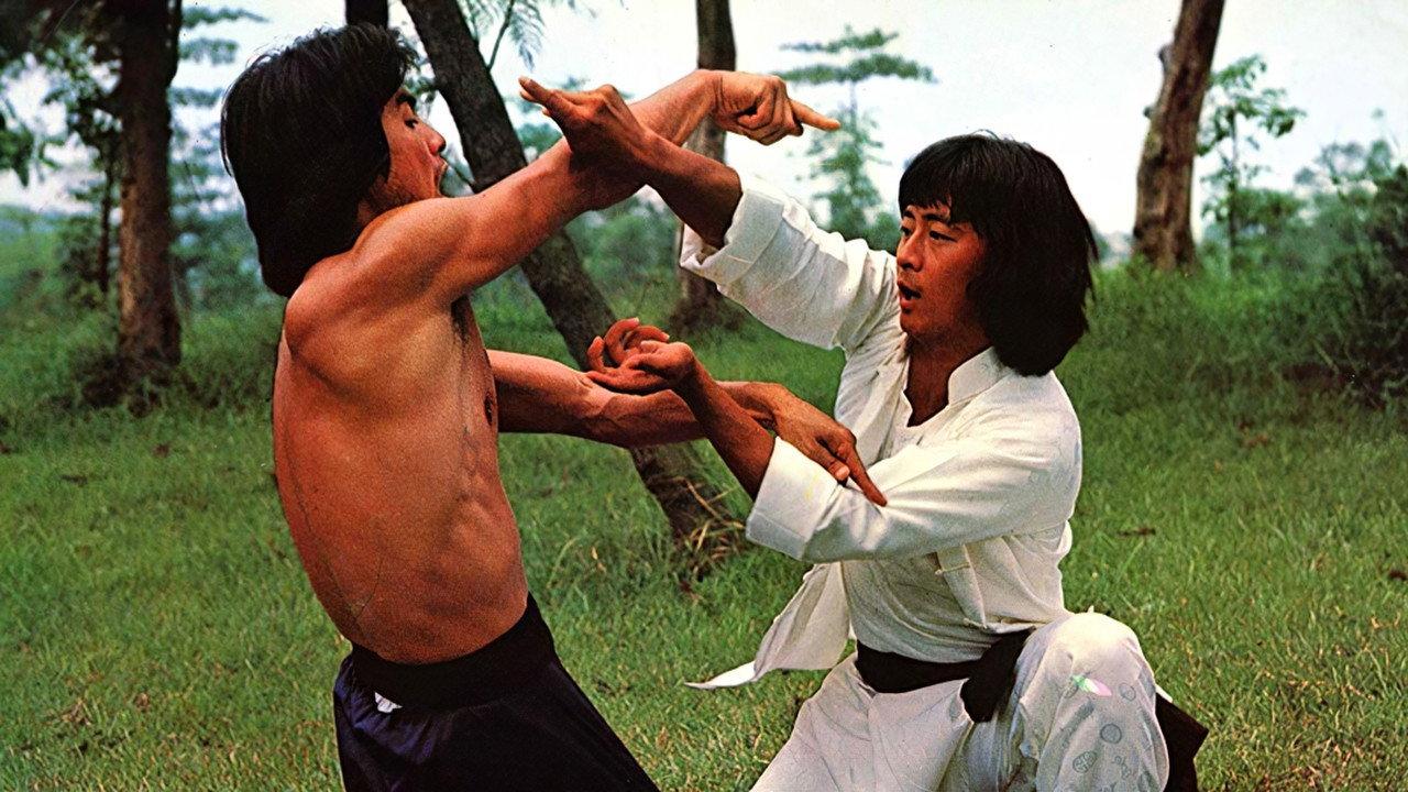 Drunken Arts and Crippled Fist 1979 movie scene