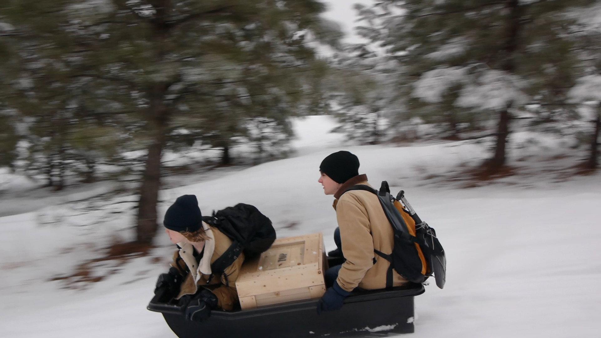 Treasure State 2013 movie scene