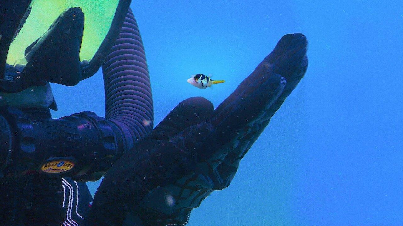 Puff: Wonders of the Reef 2021 movie scene