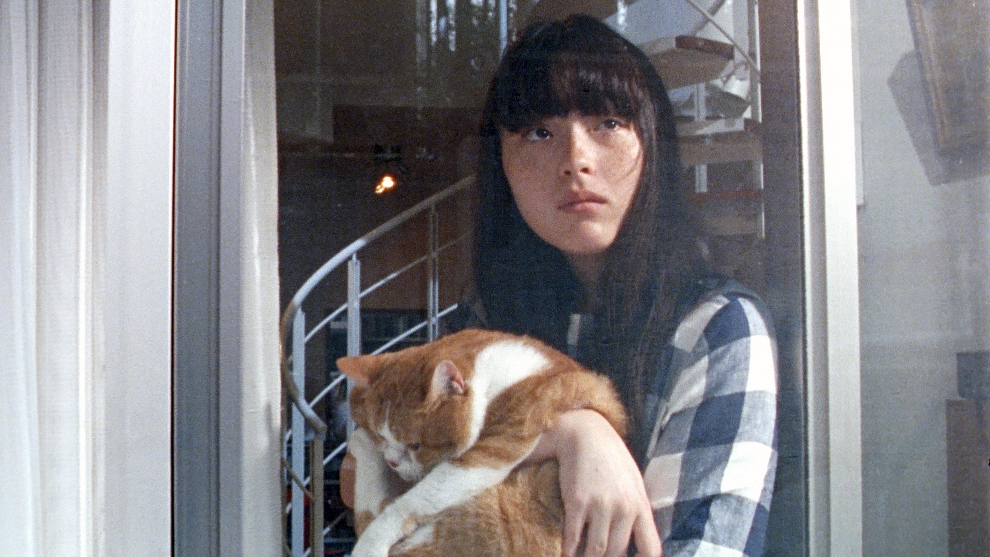 Cat's Home 2020 movie scene
