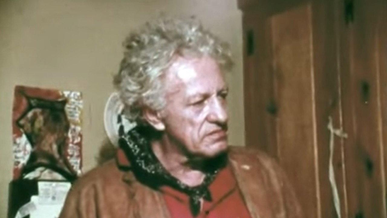 I'm a Stranger Here Myself 1975 movie scene