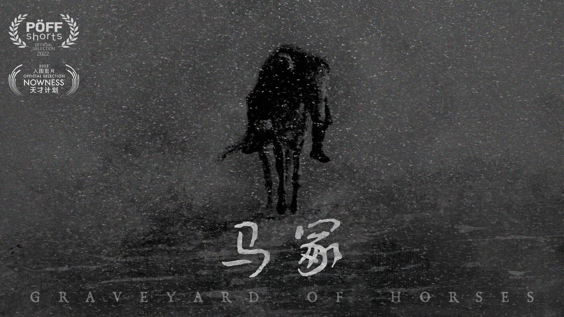 Graveyard of Horses 2022 movie scene