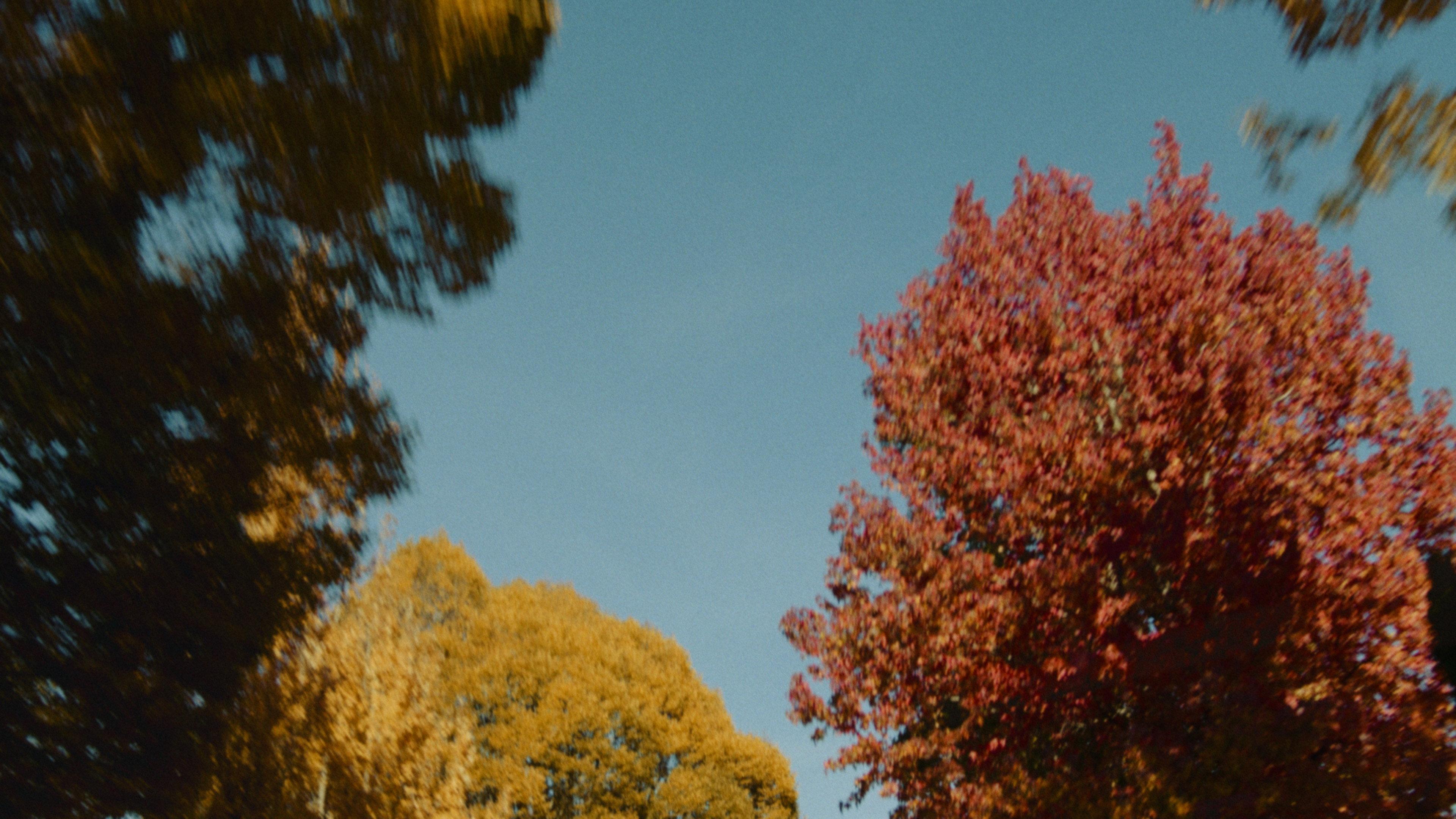 Film for Max movie scene