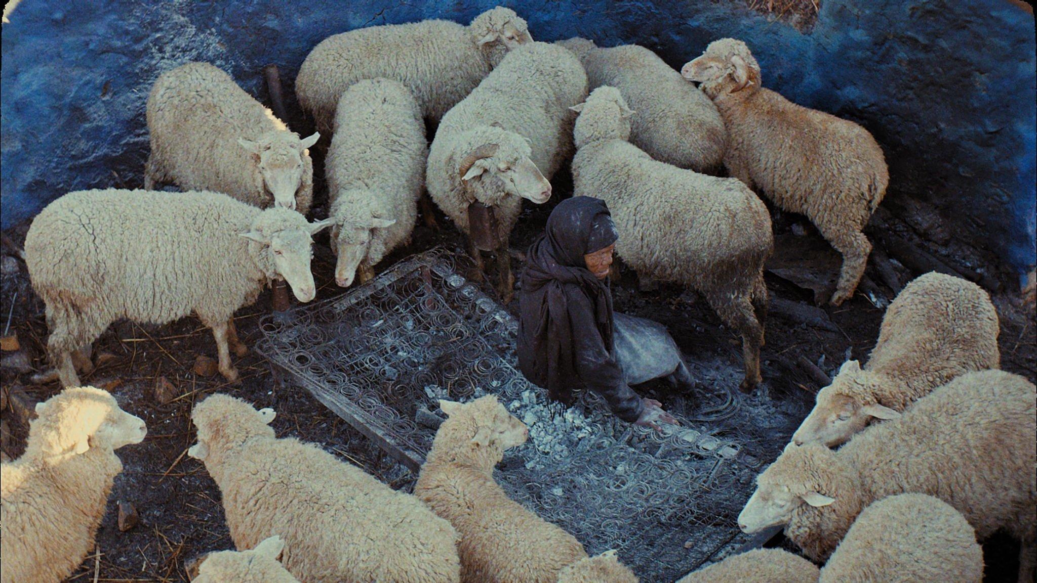 This Is Not a Burial, It's a Resurrection 2020 movie scene